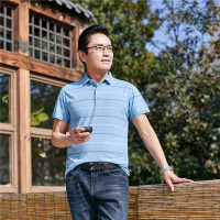 駱丹尼斯爸爸短袖t恤男夏装宽松体恤男士条纹polo衫中老年男装