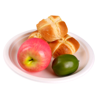 尚烤佳一次性餐具纸盘 环保纸 碟户外烧烤配件 直径23cm9寸10只装 纸盘