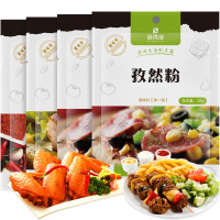 尚烤佳烧烤调料 孜然粉 辣椒粉 烧烤料组合装4包 辣椒粉套装