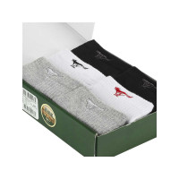 七匹狼 6双盒装薄款混色运动休闲男船袜