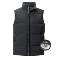 阿仕顿男装潮流时尚休闲保暖羽绒马甲上衣外套羽绒背心男EV42401