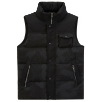 阿仕顿男装马甲冬季时尚青年休闲白鸭绒羽绒马甲男