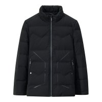 阿仕顿男装羽绒服时尚休闲常规款立领灰鸭绒青年羽绒服外套男