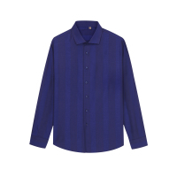 HODO红豆男装男士商务时尚宽条纹长袖衬衫男