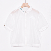 A&D韩版宽松薄款刺绣学院风性感透视短袖衬衫