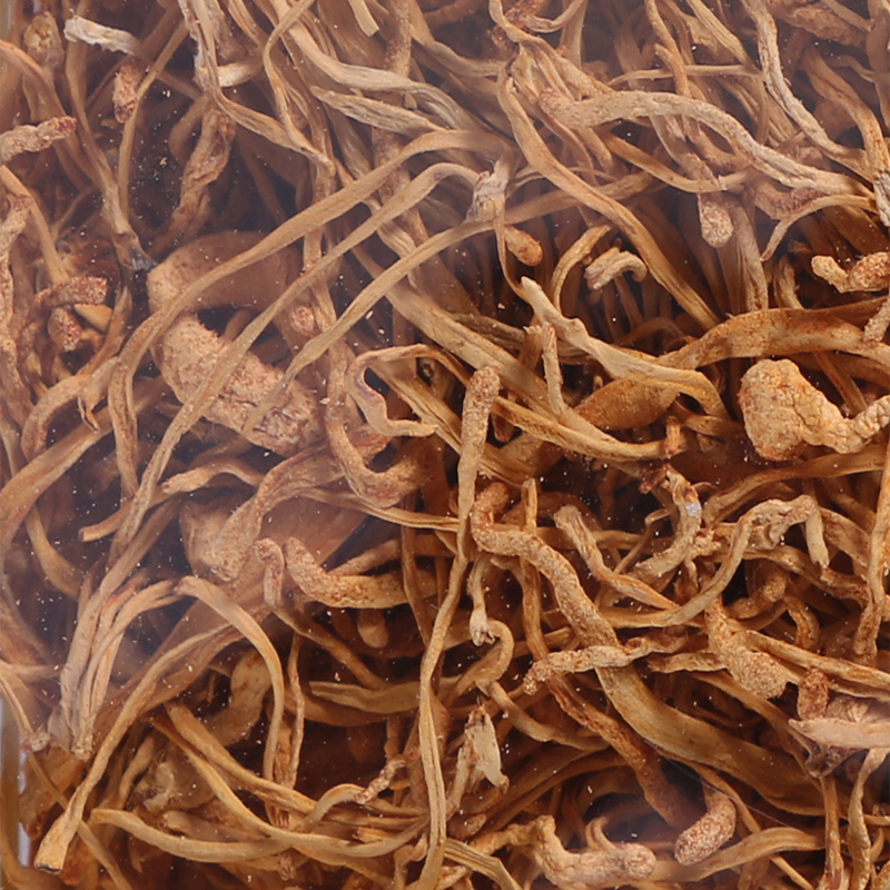 【苏宁超市】香港启泰 盒装蛹虫草150g（精选） 虫草花 大孢子头 干货煲汤