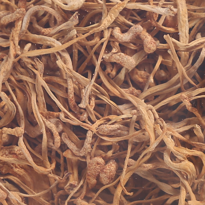 【苏宁超市】香港启泰 盒装蛹虫草150g（精选） 虫草花 大孢子头 干货煲汤