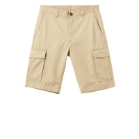 佐丹奴男短裤新款男装工装裤男生纯棉休闲裤男短款01108229