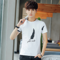 稻草人(Mexican)青年衣服夏季修身男士短袖t恤韩版圆领带图案休闲短轴潮印花体恤