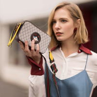 2019新款小包包宽肩带ins潮百搭小方包双层相机包单肩小ck斜挎包