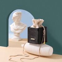 2019秋冬新款百搭盒子包蜥蜴纹链条小包包