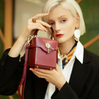 复古盒子包女2019新款迷你手提斜挎小包包