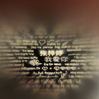 茗琳MINGLIN 定制抖音爱情的记忆里s925银项链女士 照片投影吊坠一百100种语言我爱你情人节礼物送恋人素描版