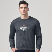 七匹狼卫衣秋季时尚休闲青年男士潮流圆领印花长袖卫衣