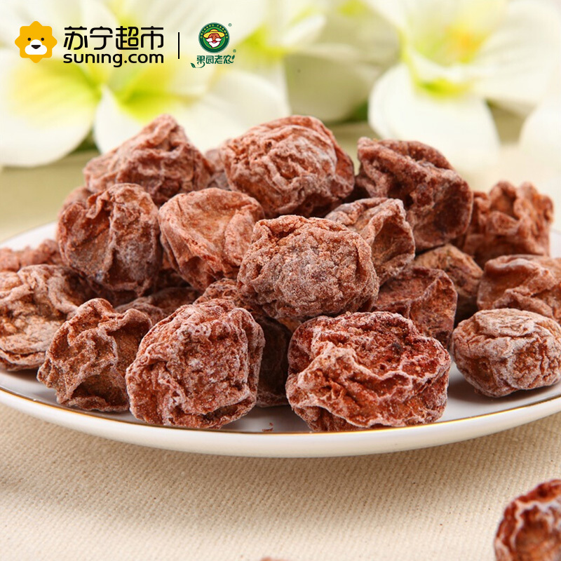 果园老农 九制话梅 100g/袋 蜜饯果脯 果园老农出品