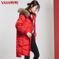 鸭鸭冬季长款直筒外套长袖轻薄拉链大码通勤韩版女羽绒服B-521420