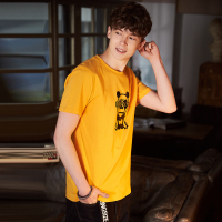 唐狮2018夏装新款短袖T恤男圆领卡通植绒图案青少年学生潮流上衣