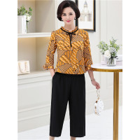 媛宿(YuanSu)中老年女春装雪纺气质两件套40-50岁妈妈夏装洋气短袖T恤时尚套装6895