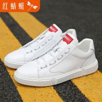 红蜻蜓正品男鞋潮鞋休闲鞋韩版百搭运动鞋透气板鞋小白鞋青年鞋子