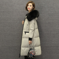 兰奥2018秋季新品 真皮皮衣女长款羽绒服 海宁绵羊皮貉子毛领长款女士皮草外套