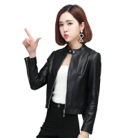 兰奥2018冬季新款海宁真皮皮衣女超短简约款绵羊皮小夹克外套