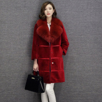 女款狐狸毛领羊剪绒皮