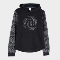 Adidas阿迪达斯男子秋季运动篮球跑步训练连帽卫衣套头衫AH4021