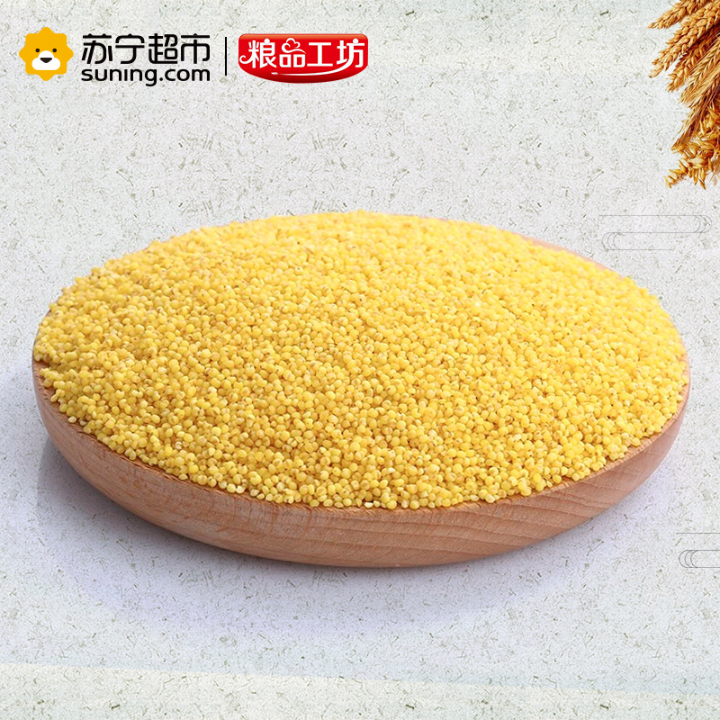 红旭农场 粮品工坊小黄米1kg(月子米 黄小米 红谷小米 小米粥 五谷杂粮 大米伴侣)