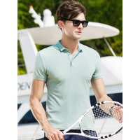 北极绒男士青年男士短袖t恤POLO衫夏装中年潮流冰丝光棉T桖