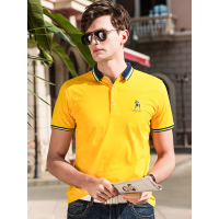 北极绒男士2019款短袖男纯色宽松商务休闲半袖上衣体恤纯棉POLO衫