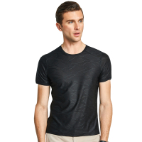 北极绒男士短袖T恤2019夏季桑蚕丝圆领透气男格纹上衣