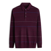 红豆相思鸟(xiangsiniao)秋冬新款个性条纹经典百搭多色翻领毛衫成熟男士士休闲毛衫/毛衣