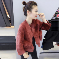 BOBOWALTZ春夏装女2019新款欧货韩版皮草毛绒夹克小个子短款外套B162b5464p3040