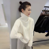 梵莉思针织衫女2019夏新品套头高领宽松欧洲站毛衫F162b6914p1410