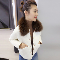 bobowaltz轻薄羽绒服短外套女 欧洲站2019春新品大毛领修身显瘦女装B172f2084p3310