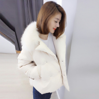 梵莉思(FANLISI)冬装女2019新款欧货翻领大毛领韩版面包服甜美短款羽绒服F172g1410p3311