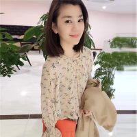 BOBOWALTZ欧洲站春夏装女2019新款欧货 韩版宽松碎花雪纺长袖衬衫上衣B171d0321p1100