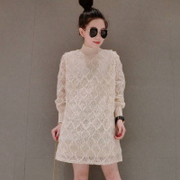 赛美意欧洲站2019年春新款女装欧货半高领蕾丝拼欧根纱中长连衣裙女S181m00132p0112