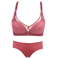 植彩新款轻奢刺绣天鹅精美绣花聚拢镂空鸡心无钢圈文胸套装8813