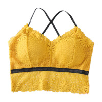 植彩新款交叉吊带雏菊无钢圈蕾丝美背女士背心840