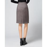 秋季亮条纹半身裙女士通勤工作休闲百搭时尚半裙