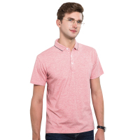 雅鹿男士短袖t恤2019新款丝光棉青年T恤夏季棉POLO衫