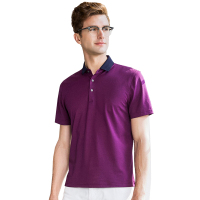 雅鹿男士含桑蚕丝短袖T恤2019夏季新款翻领商务条纹薄款体恤衫