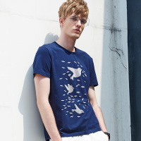 BRUSHFINCH猫王男装2018夏季短袖t恤男圆领宽松韩版男