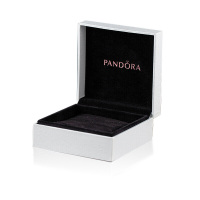潘多拉Pandora包装盒 单拍不发货不支持退款 购买详情请咨询客服单拍不发货