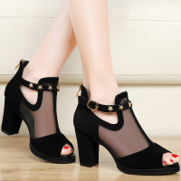 鱼嘴凉鞋女中跟夏季2018新款女士高跟鞋粗跟韩版百搭网纱夏天鞋子