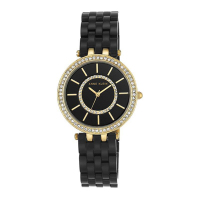 安妮克莱因（ANNE KLEIN）摩登复古系列时尚复古树脂表带石英女士手表AK/2620BKGB