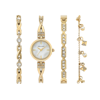 安妮克莱因（ANNE KLEIN）魅力潮流系列水钻镶嵌时尚简约套装石英女士手表AK/3082GPST