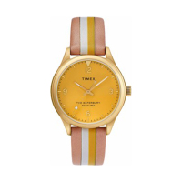 美国TIMEX天美时手表Waterbury系列时尚简约户外石英女士手表TW2T26600
