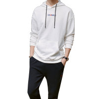 赛丹狐男孩连帽套装春新款休闲运动潮流两件套HH0723